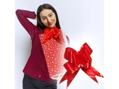 Stahovací dárková mašle 10 ks - červená