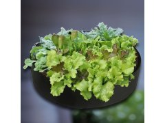 Textilní záhon - velikost S